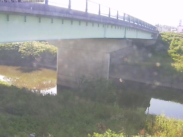 野坂川１2025/06/06 1:10:00