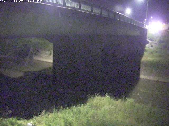 野坂川１2025/06/06 1:10:00