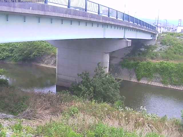 野坂川１2026/06/17 12:10:00
