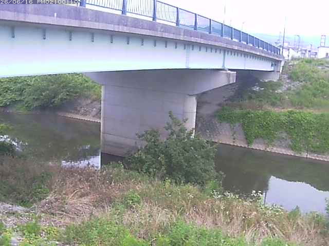 野坂川１2026/06/17 12:10:00