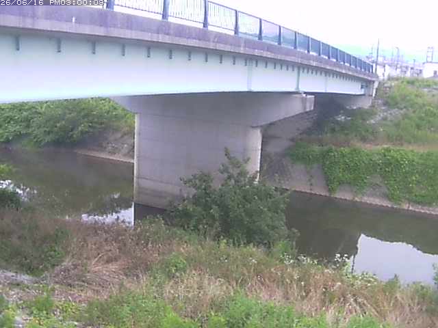 野坂川１2026/06/17 12:10:00
