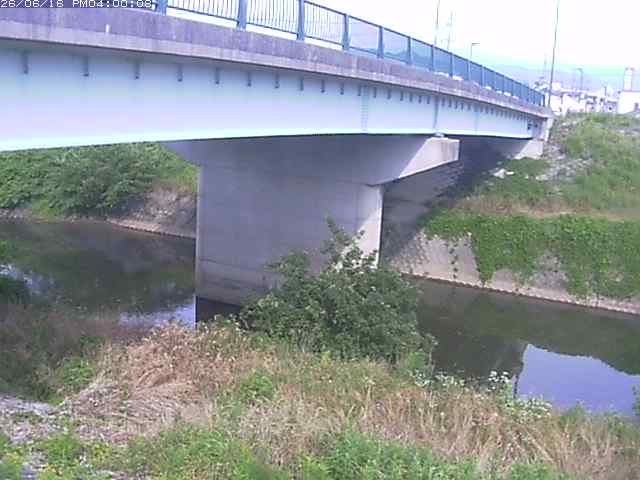 野坂川１2026/06/17 12:10:00