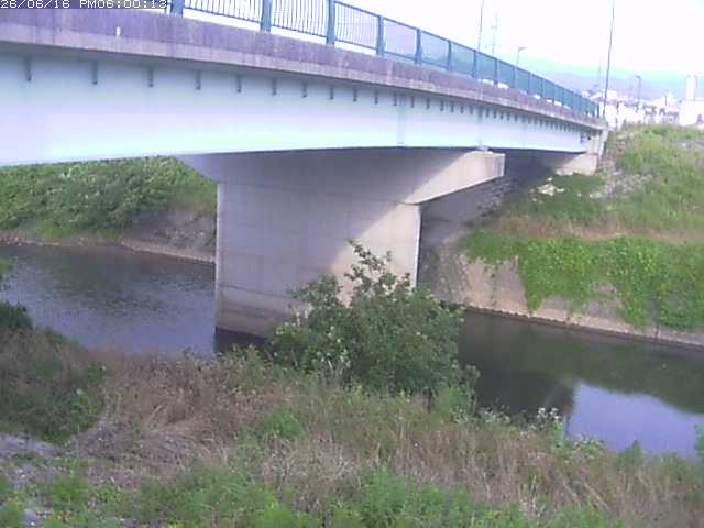 野坂川１2026/06/17 12:10:00