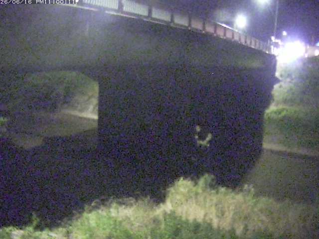 野坂川１2026/06/17 12:10:00