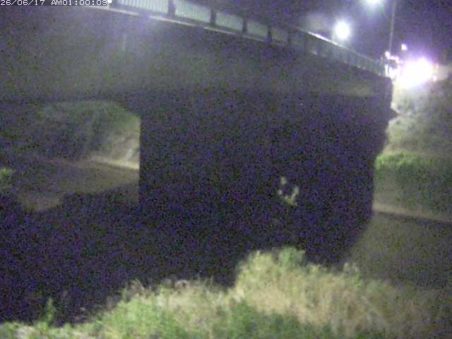 野坂川１2026/06/17 12:10:00