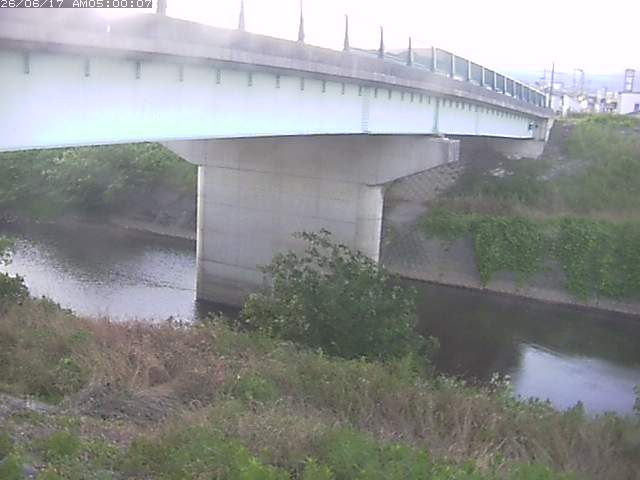 野坂川１2026/06/17 12:10:00