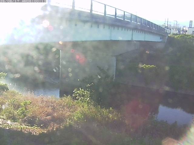 野坂川１2026/06/17 12:10:00