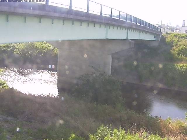 野坂川１2026/06/17 12:10:00