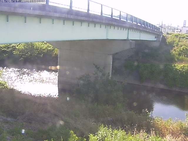 野坂川１2026/06/17 12:10:00