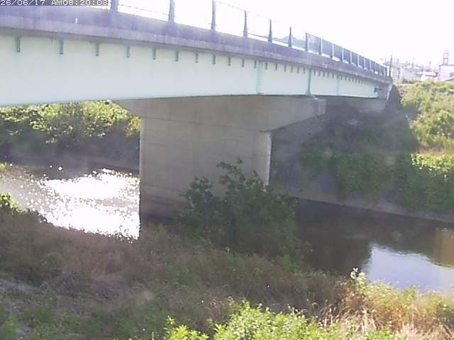 野坂川１2026/06/17 12:10:00