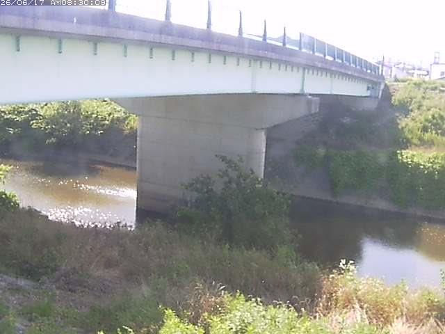 野坂川１2026/06/17 12:10:00