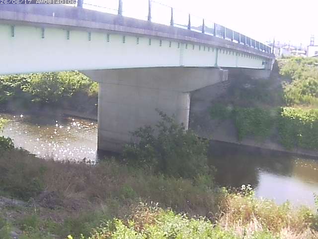 野坂川１2026/06/17 12:10:00