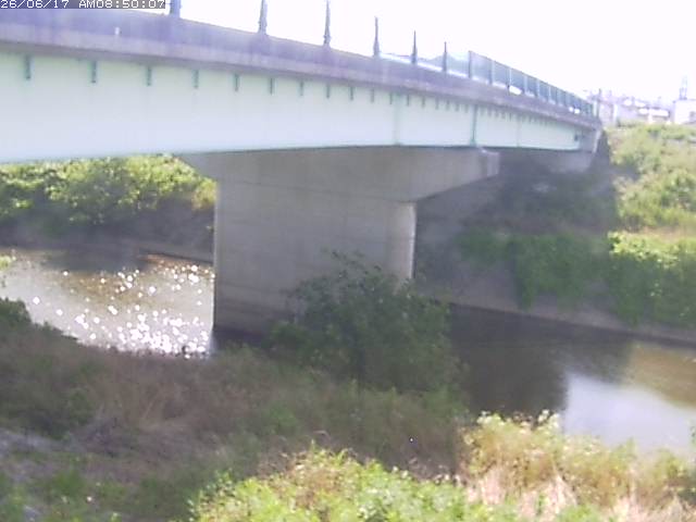 野坂川１2026/06/17 12:10:00