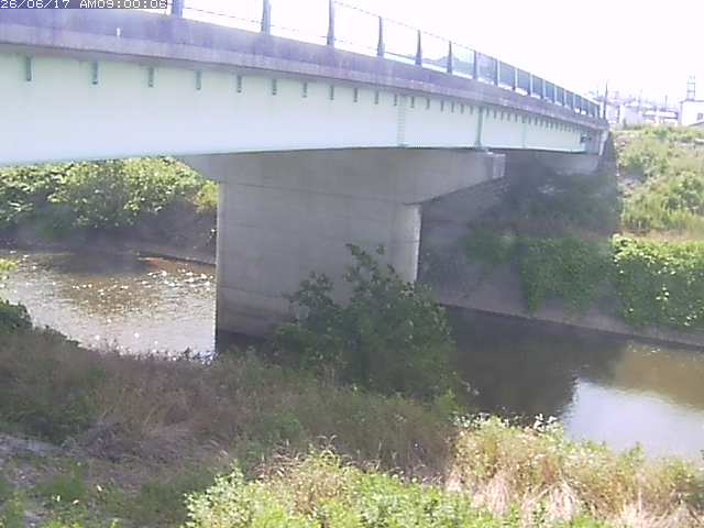 野坂川１2026/06/17 12:10:00