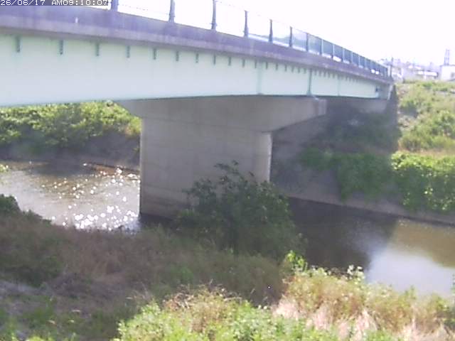 野坂川１2026/06/17 12:10:00