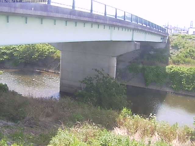 野坂川１2026/06/17 12:10:00