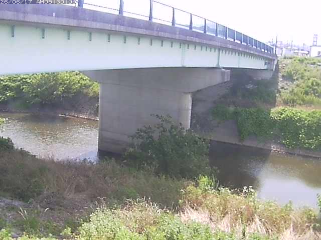 野坂川１2026/06/17 12:10:00