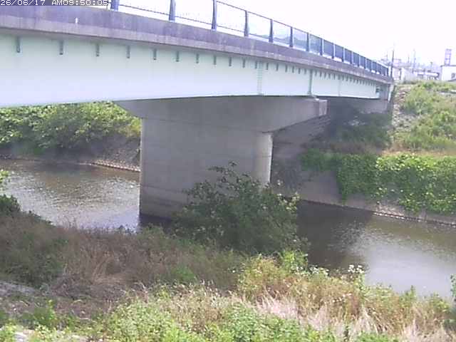 野坂川１2026/06/17 12:10:00
