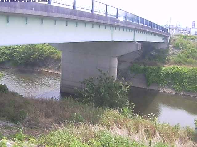 野坂川１2026/06/17 12:10:00