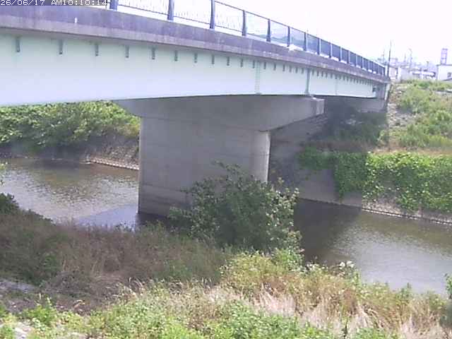 野坂川１2026/06/17 12:10:00
