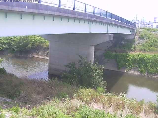 野坂川１2026/06/17 12:10:00