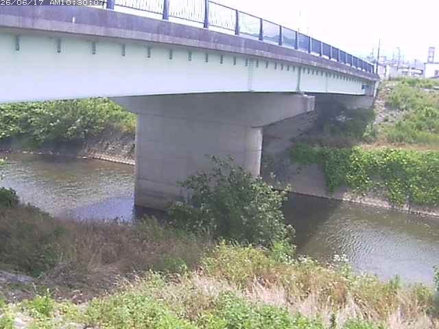 野坂川１2026/06/17 12:10:00