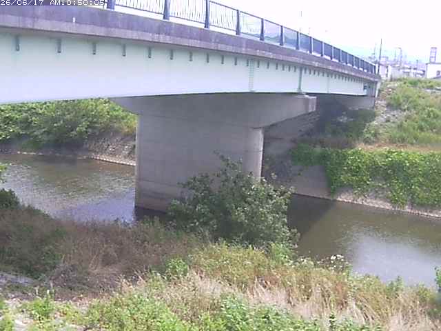 野坂川１2026/06/17 12:10:00