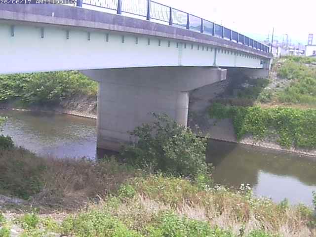 野坂川１2026/06/17 12:10:00