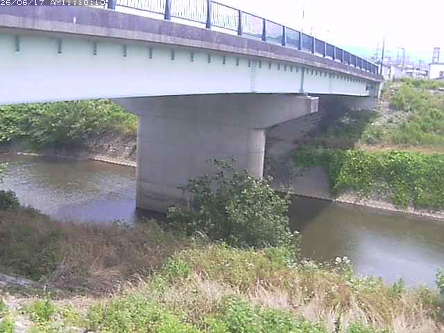 野坂川１2026/06/17 12:10:00