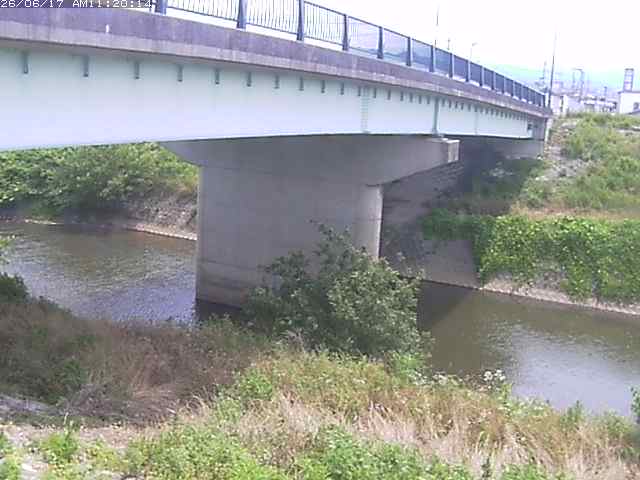 野坂川１2026/06/17 12:10:00