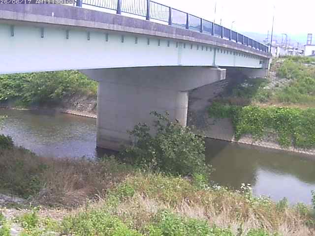 野坂川１2026/06/17 12:10:00