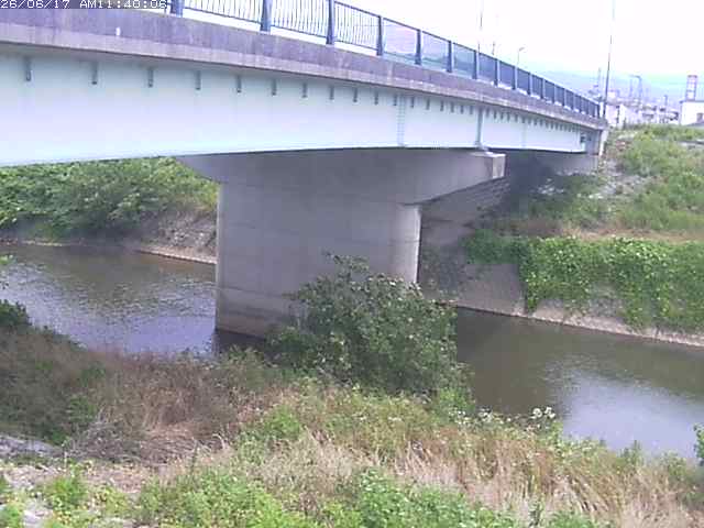野坂川１2026/06/17 12:10:00