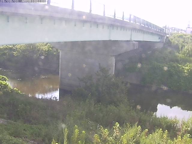 野坂川１2026/08/01 20:50:00