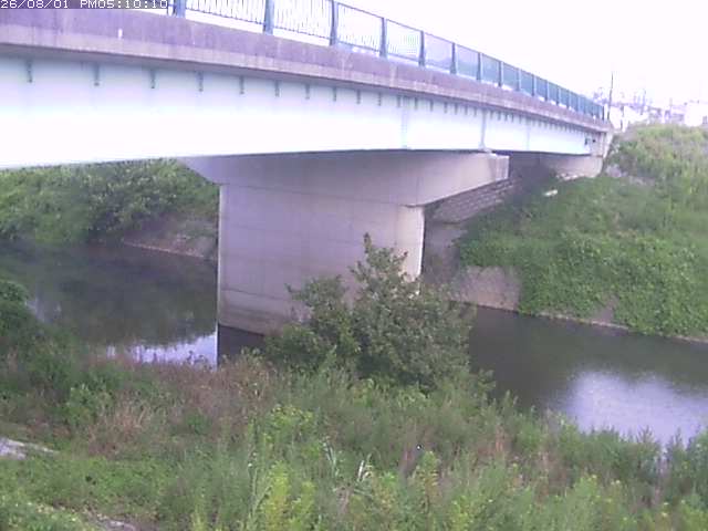 野坂川１2026/08/01 20:50:00