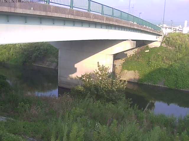 野坂川１2026/08/01 20:50:00