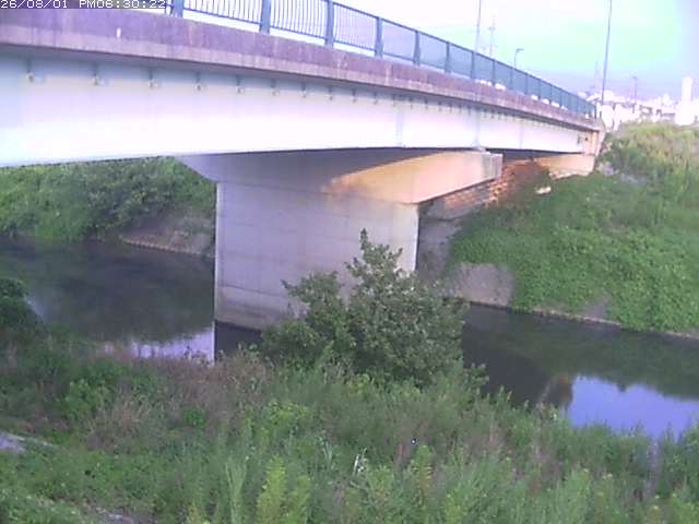 野坂川１2026/08/01 20:50:00