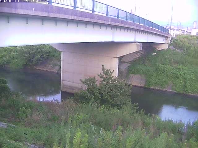 野坂川１2026/08/01 20:50:00