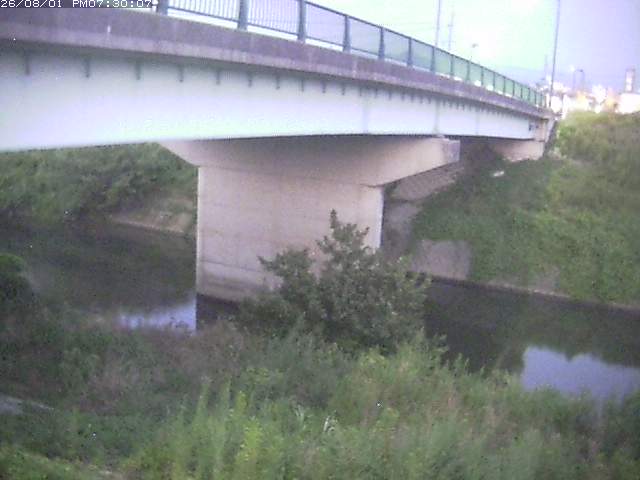 野坂川１2026/08/01 20:50:00