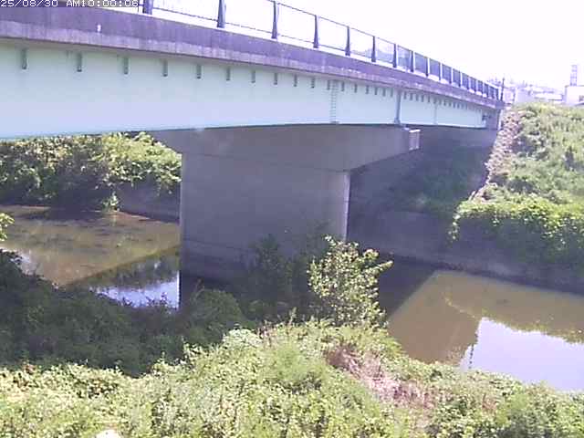 野坂川１2025/08/31 9:10:00