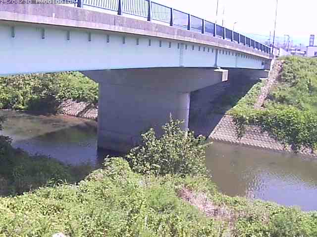 野坂川１2025/08/31 9:10:00
