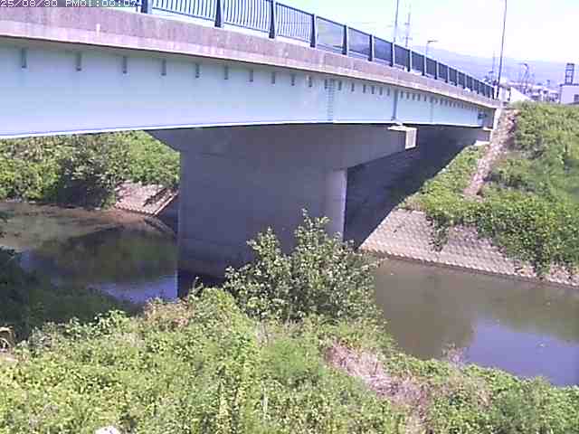 野坂川１2025/08/31 9:10:00