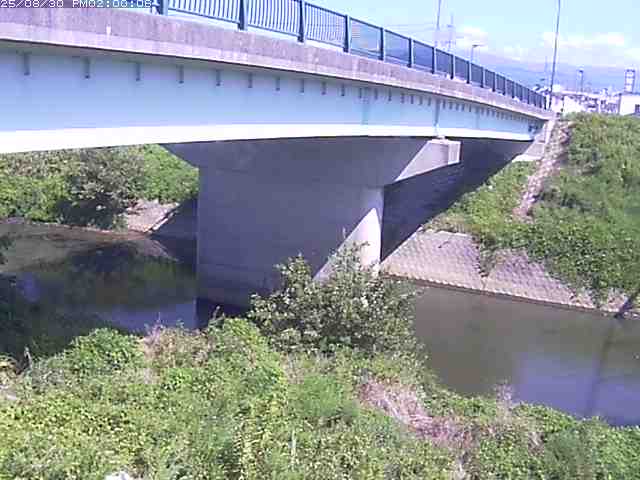 野坂川１2025/08/31 9:10:00