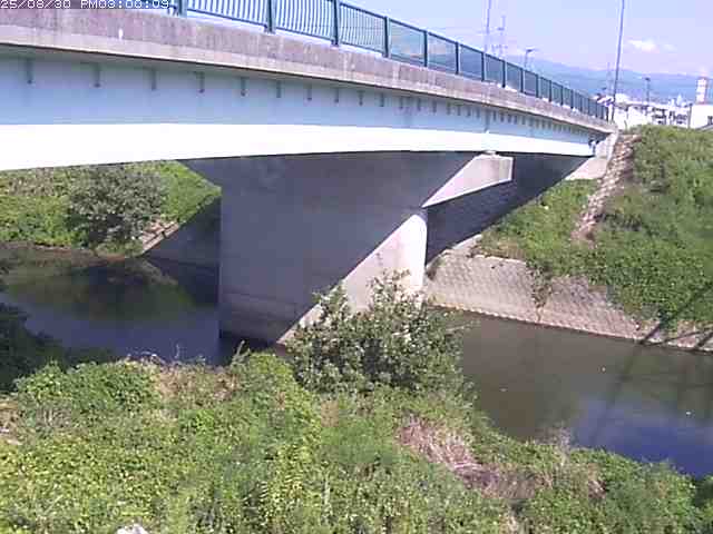 野坂川１2025/08/31 9:10:00