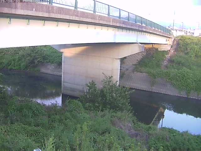 野坂川１2025/08/31 9:10:00