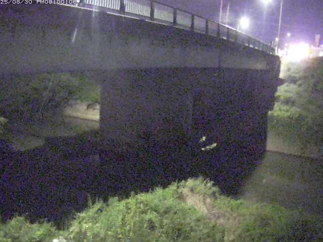 野坂川１2025/08/31 9:10:00