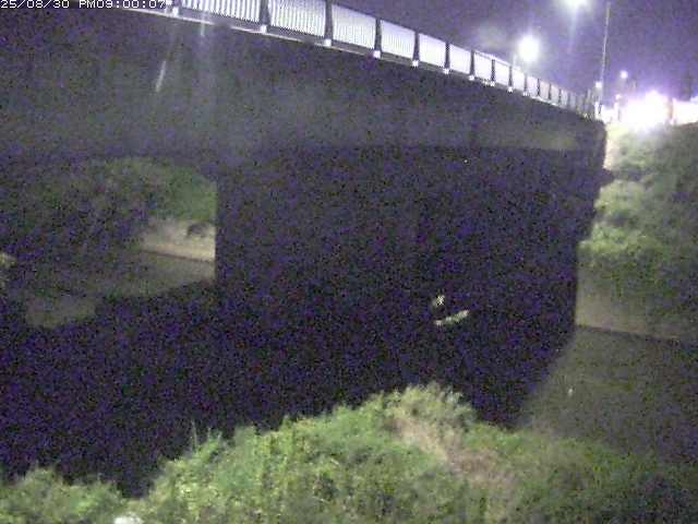 野坂川１2025/08/31 9:10:00
