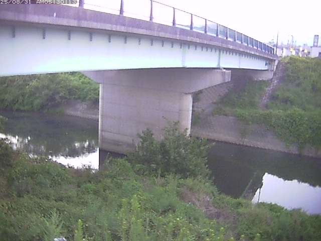 野坂川１2025/08/31 9:10:00