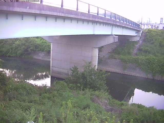 野坂川１2025/08/31 9:10:00