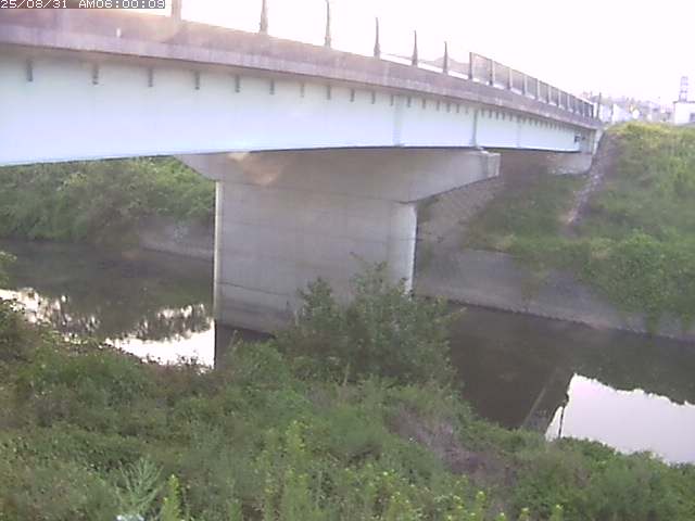 野坂川１2025/08/31 9:10:00