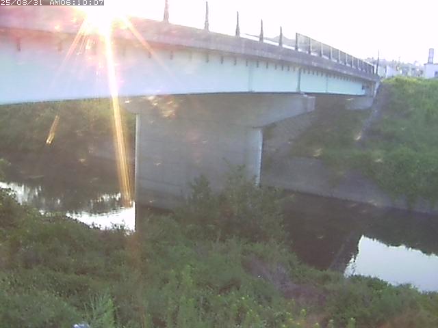 野坂川１2025/08/31 9:10:00